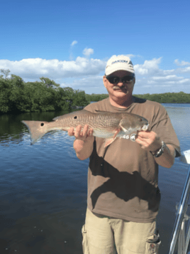 Redfish Fishing in Fort Myers, Florida