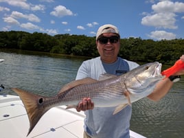 Tampa Bay Inshore Slam