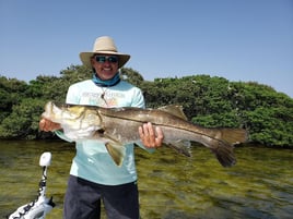 Tampa Bay Inshore Slam