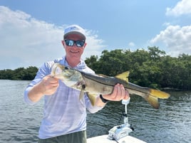 Tampa Bay Inshore Slam