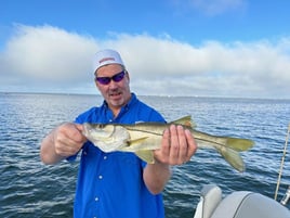 Tampa Bay Inshore Slam