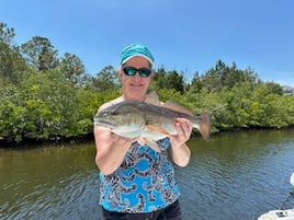 Tampa Bay Inshore Slam