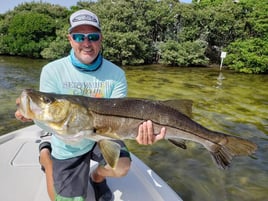 Tampa Bay Inshore Slam