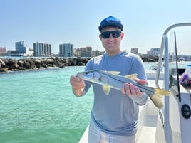 Tampa Bay Inshore Slam