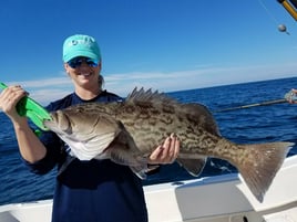 Clearwater Nearshore Reefs & Wrecks