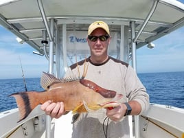 Clearwater Nearshore Reefs & Wrecks