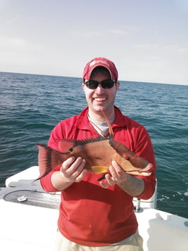 Clearwater Nearshore Reefs & Wrecks