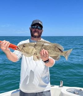 Clearwater Nearshore Reefs & Wrecks