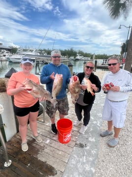 Limits and Trophies 50-80 Miles Offshore