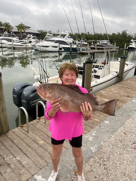 Limits and Trophies 50-80 Miles Offshore