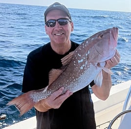 Red Grouper Fishing in Marco Island, Florida