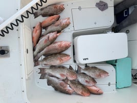 Limits and Trophies 50-80 Miles Offshore