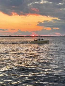 Panama City Bottom Fishing