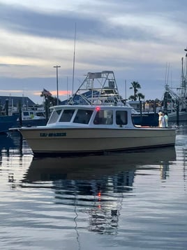 Panama City Bottom Fishing