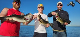 Lake Toho Bass Hook-Up