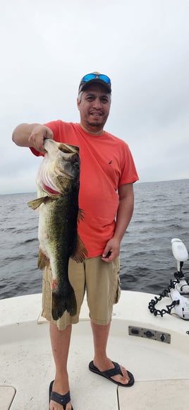 Lake Toho Bass Hook-Up