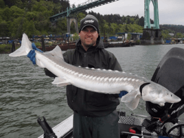 Sturgeon Catch and Release Trip