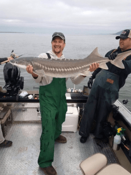 Sturgeon Catch and Release Trip