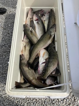 Classic Walleye & Perch Combo