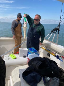 Honing in on Walleye