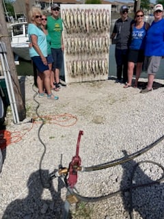 Honing in on Walleye