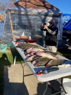 Honing in on Walleye