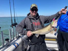 Honing in on Walleye