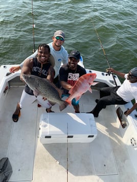 Black Grouper, Red Snapper Fishing in Biloxi, Mississippi