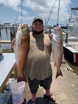 Redfish Fishing in Biloxi, Mississippi