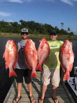 Red Snapper Fishing Trip