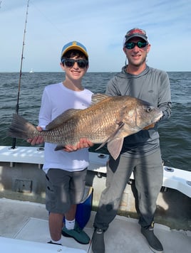 Black Drum Fishing in Biloxi, Mississippi