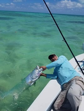 Tarpon On the Fly