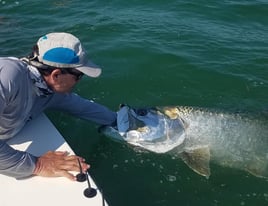 Tarpon On the Fly