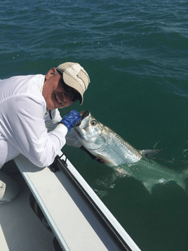 Tarpon On the Fly