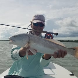 Tarpon On the Fly