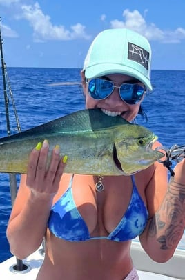 Mahi Mahi Fishing in Miami Beach, Florida