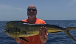 Mahi Mahi Fishing in Miami Beach, Florida