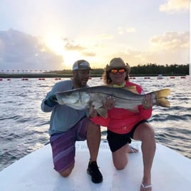 Backwater Tarpon, Snook, & Jacks