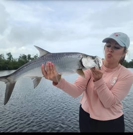 Backwater Tarpon, Snook, & Jacks