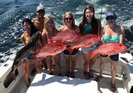 Red Snapper Fishing