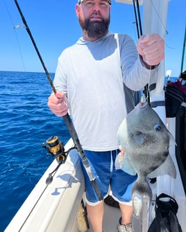 Carolina Offshore Adventure