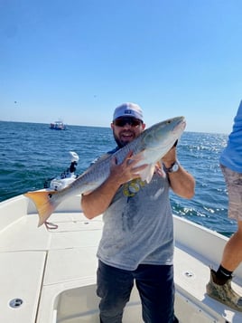 Bay Fishing Bonanza