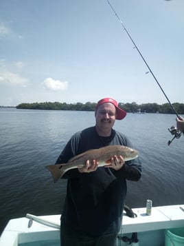 Redfish Fishing in Holmes Beach, Florida