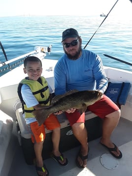 Gag Grouper Fishing in Holmes Beach, Florida