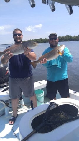 Redfish Fishing in Holmes Beach, Florida