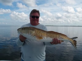 Redfish Fishing in Holmes Beach, Florida