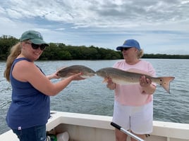 Redfish Fishing in Holmes Beach, Florida