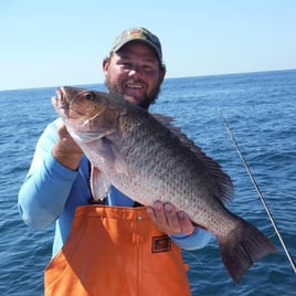 Mangrove Snapper Fishing in Holmes Beach, Florida