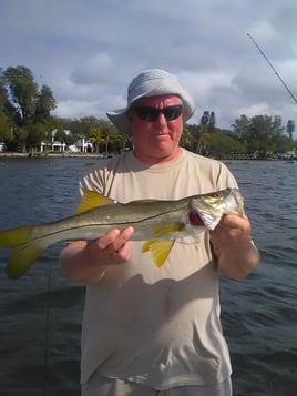 Snook Fishing in Holmes Beach, Florida