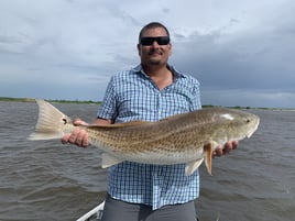 Lake Pontchartrain Gar Trip